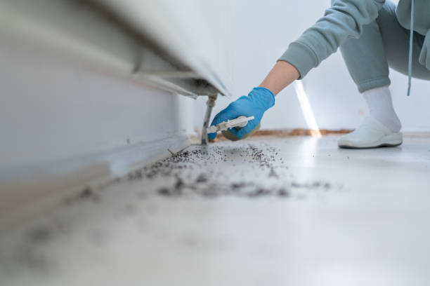 Best Best Pest Control Companies  in West Brattleboro, VT